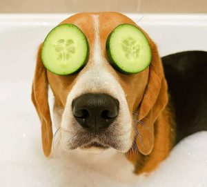 Photo hygiène et soins